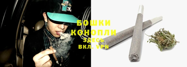 ГАЛЛЮЦИНОГЕННЫЕ ГРИБЫ Заволжск