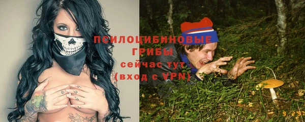 ГАЛЛЮЦИНОГЕННЫЕ ГРИБЫ Заволжск