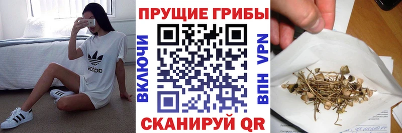 Галлюциногенные грибы GOLDEN TEACHER  Купить  Анжеро-Судженск 